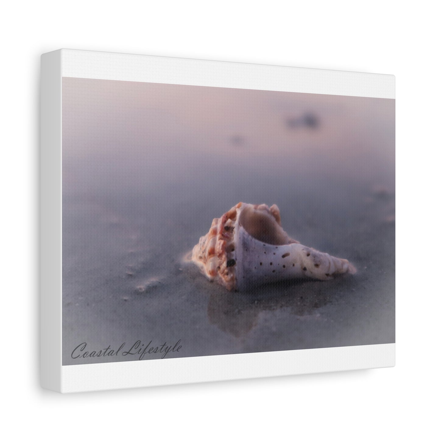 Shell-10"X8"