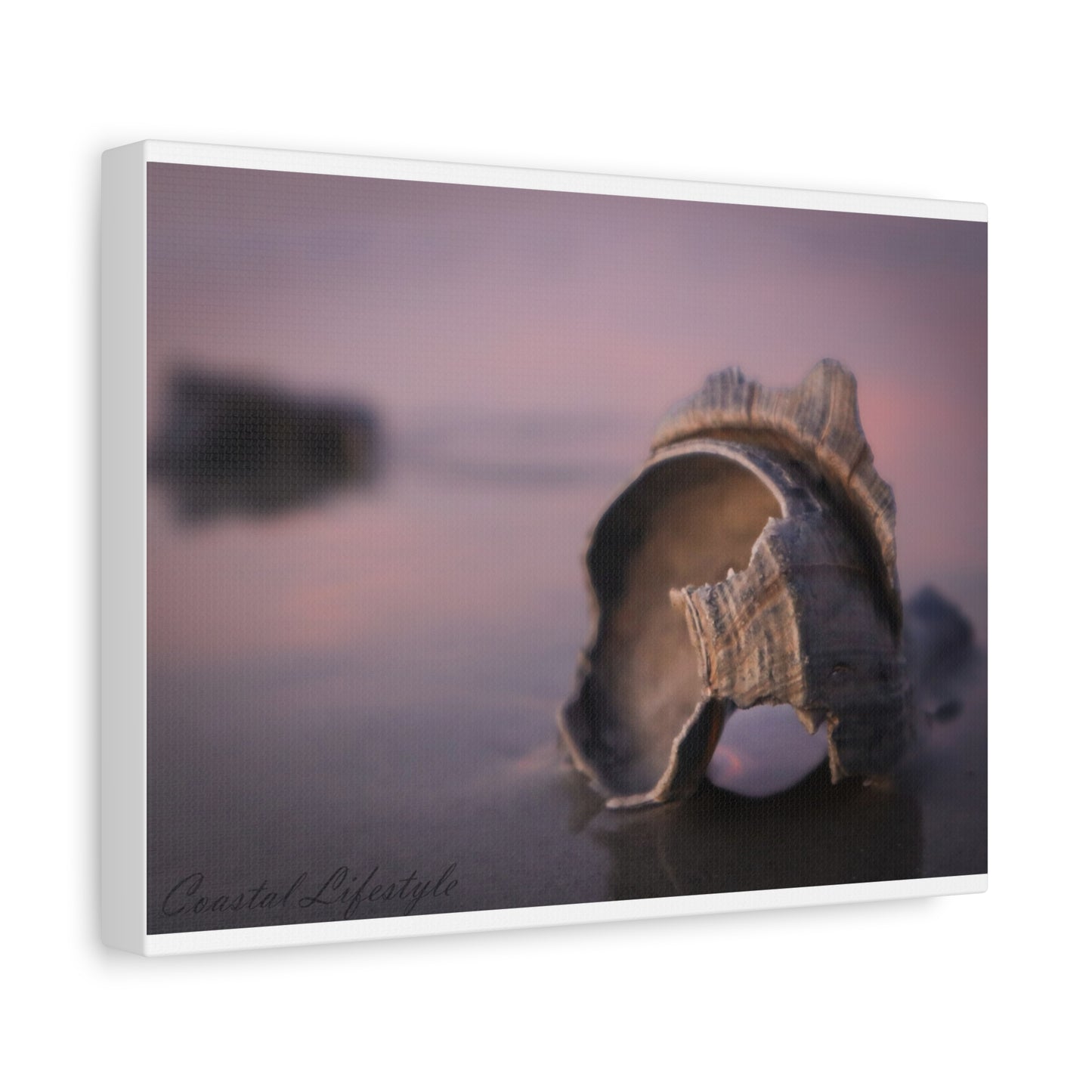 Broken Shell sunrise and soft sand, 12"X9"
