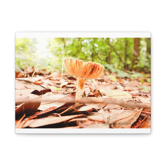 Nature-Inspired Wall Art, Canvas Print, Home Decor, Office Decor, Mushroom Photography, Gift for Nature Lovers