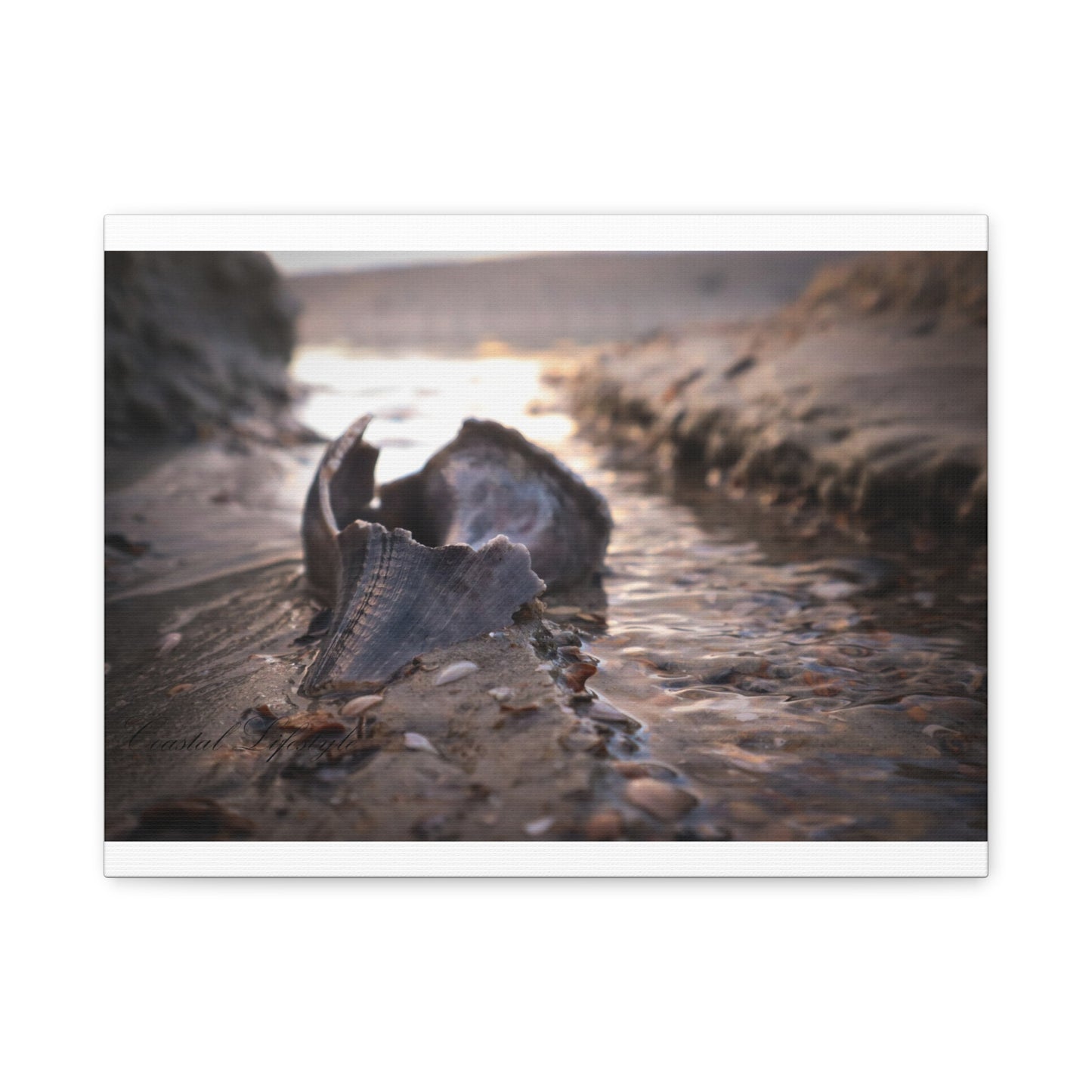Canvas Print - Beach Shells and Sand Low Tide Scene