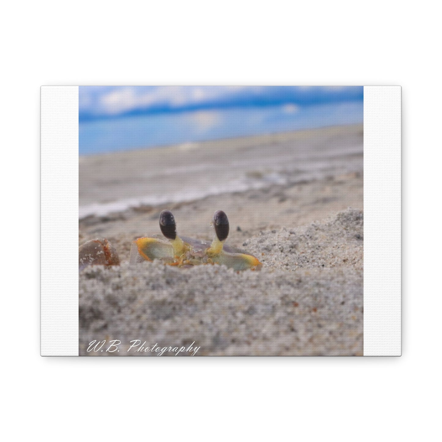 Canvas 12"X9" - Ghost Crab Peek-a-Boo