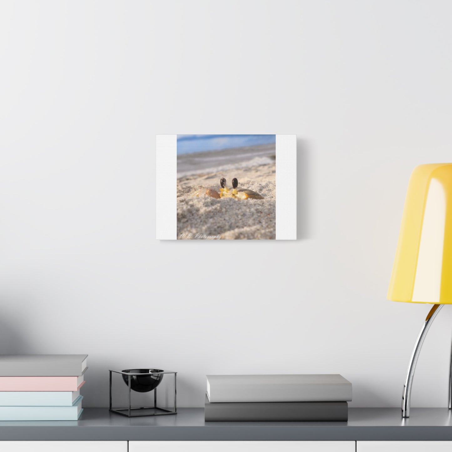 Canvas 12"X9" - Atlantic Ghost Crab Peeks from Den