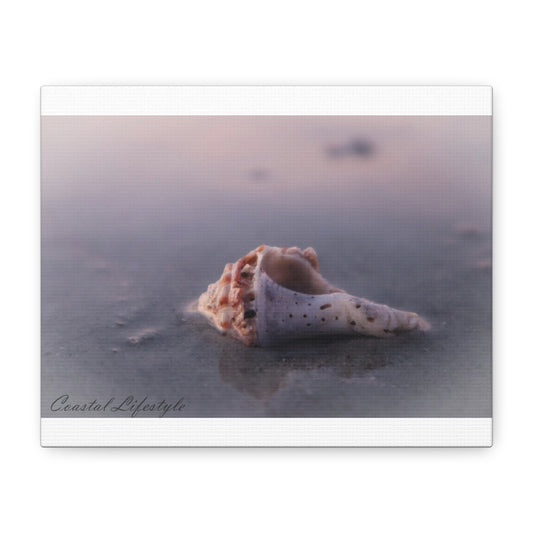 Shell-10"X8"