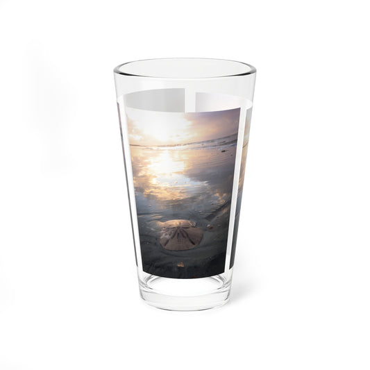Mixing or table glass, sunrise, sand, and sand dollar beach scene