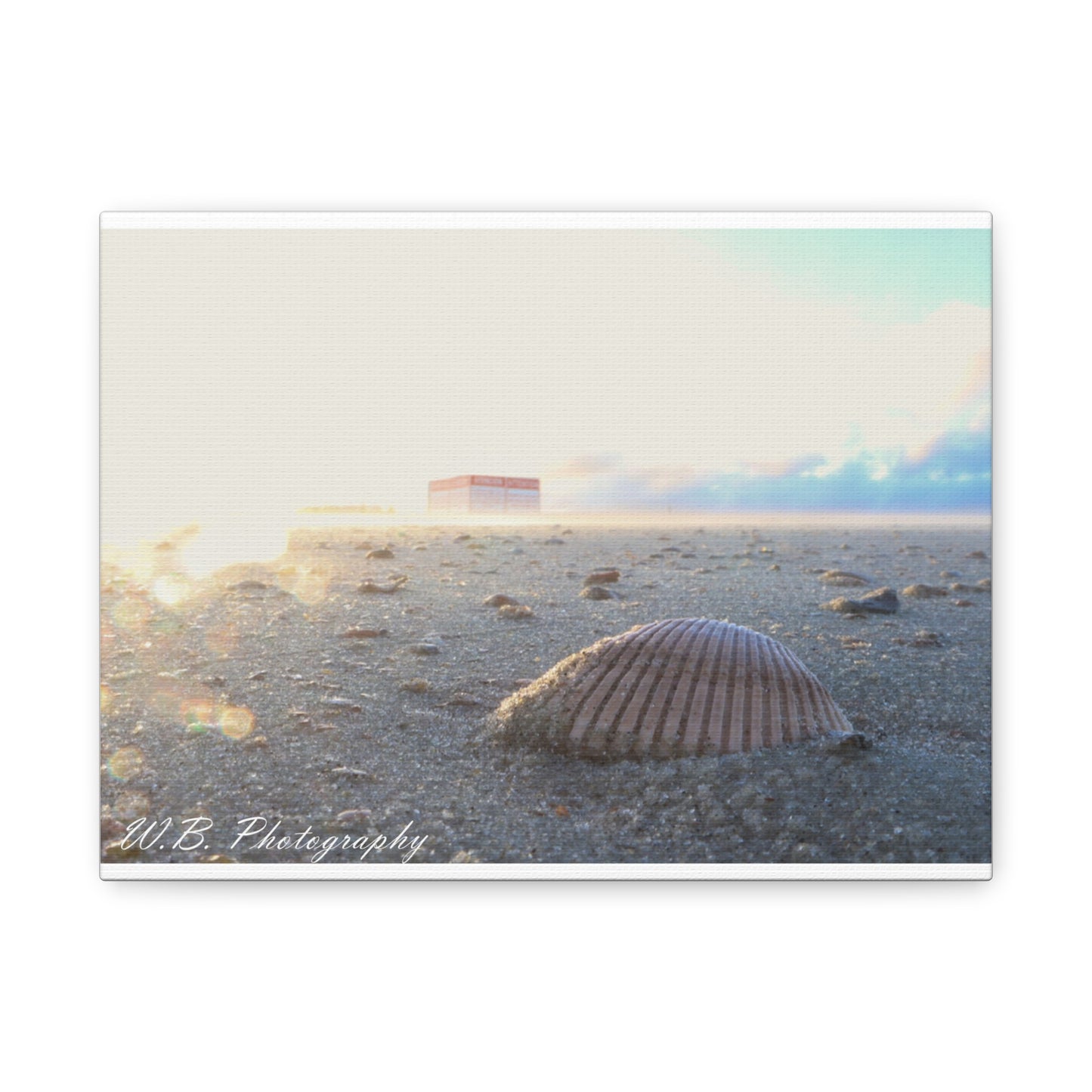 Canvas Wall Art - Coastal Lifestyle Shell Design from Tybee Island Georgia