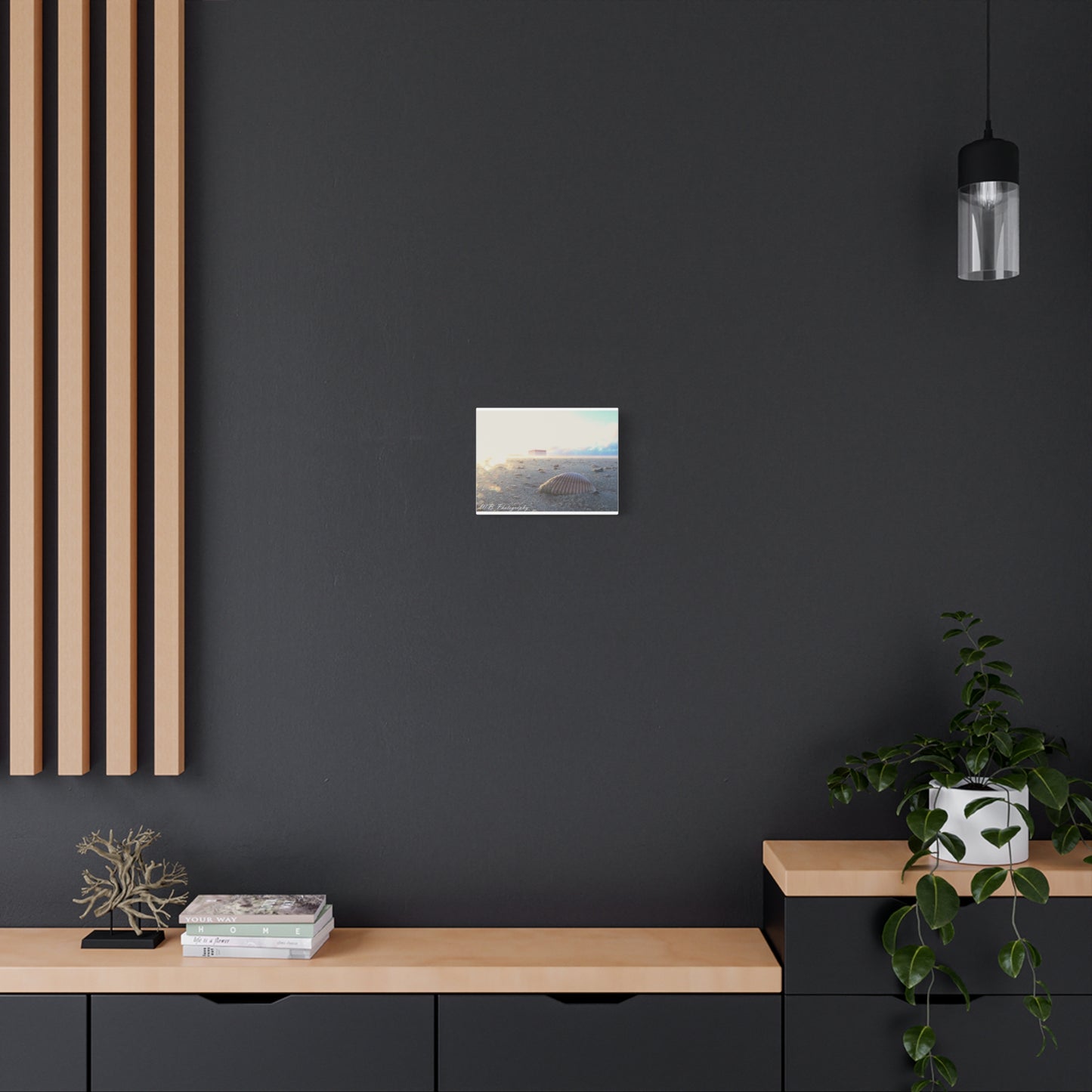 Canvas Wall Art - Coastal Lifestyle Shell Design from Tybee Island Georgia