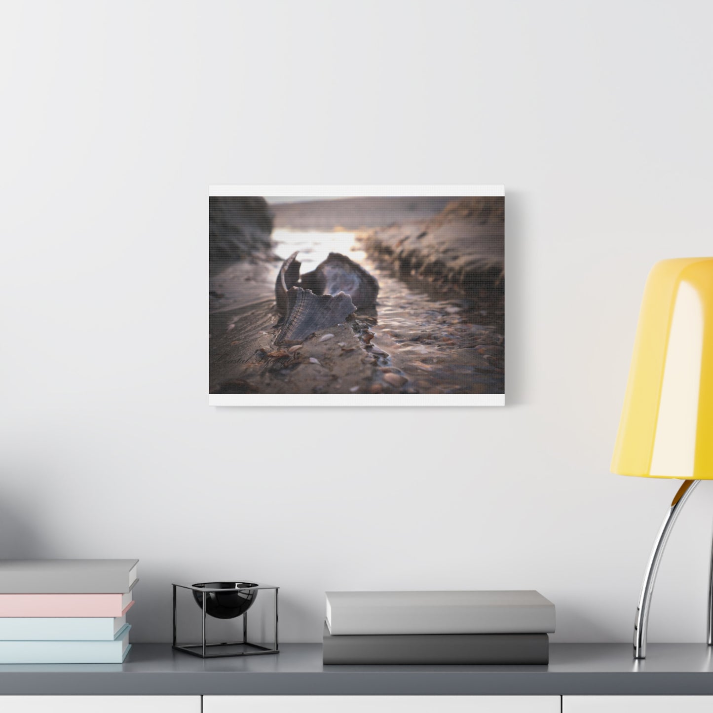 Canvas Print - Beach Shells and Sand Low Tide Scene