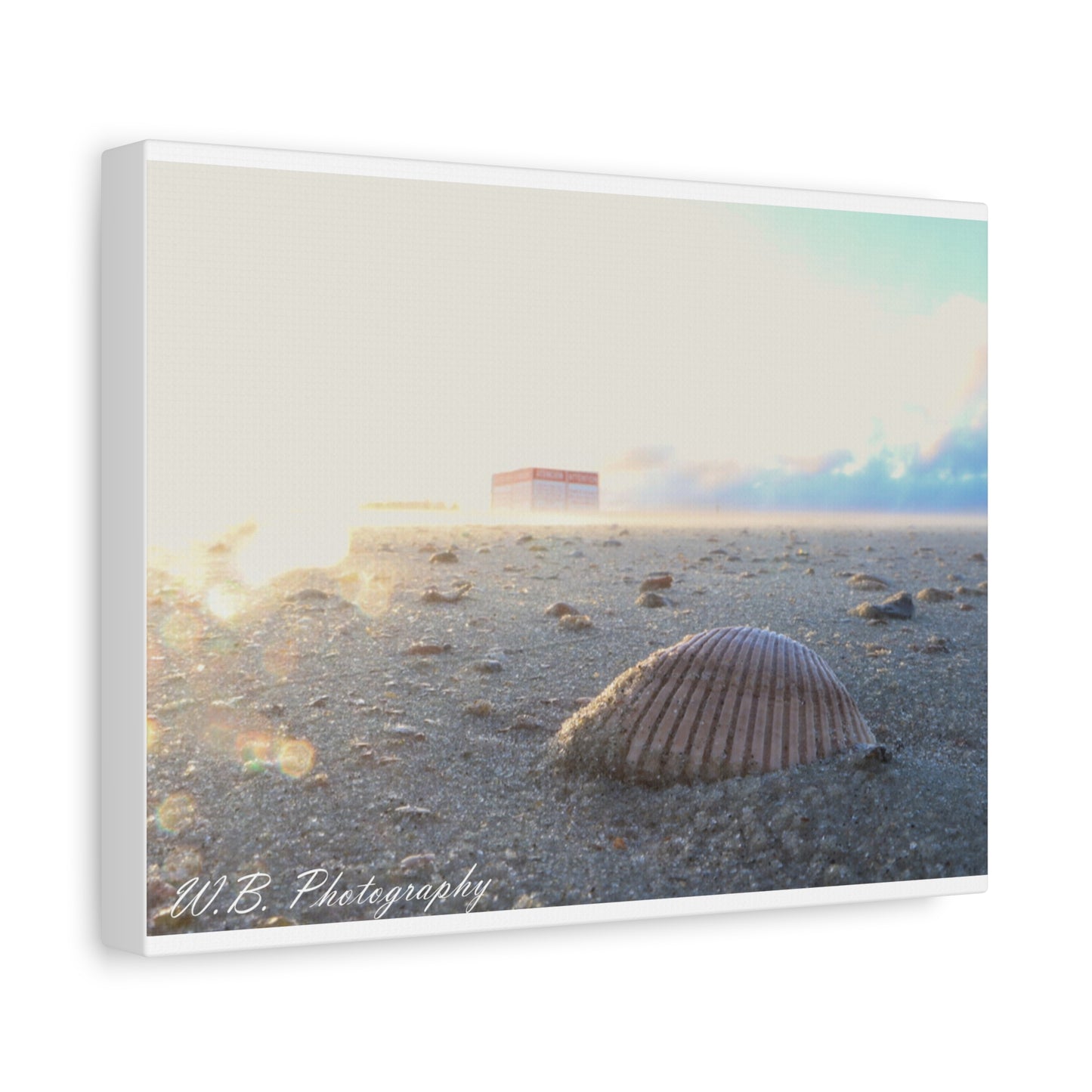 Canvas Wall Art - Coastal Lifestyle Shell Design from Tybee Island Georgia