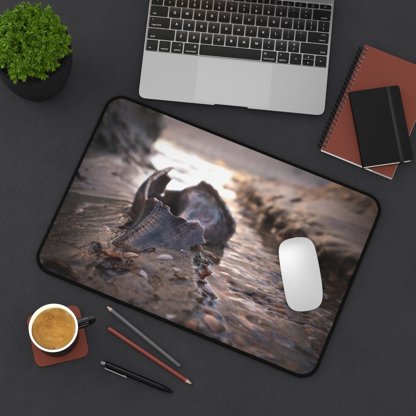 Desk Mat - Shells Story Design
