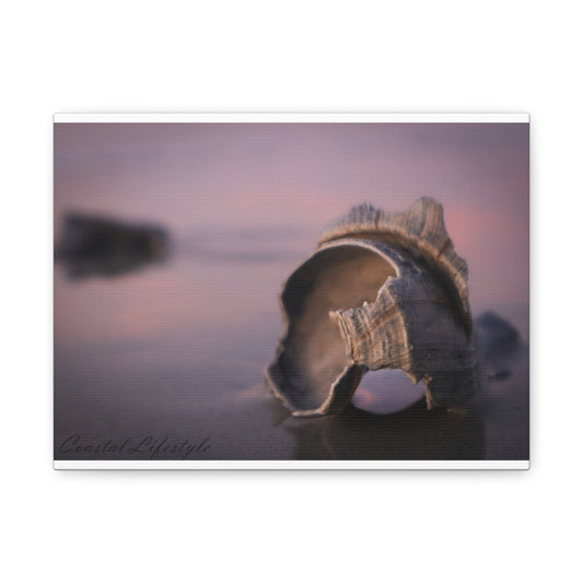 Broken Shell sunrise and soft sand, 12"X9"