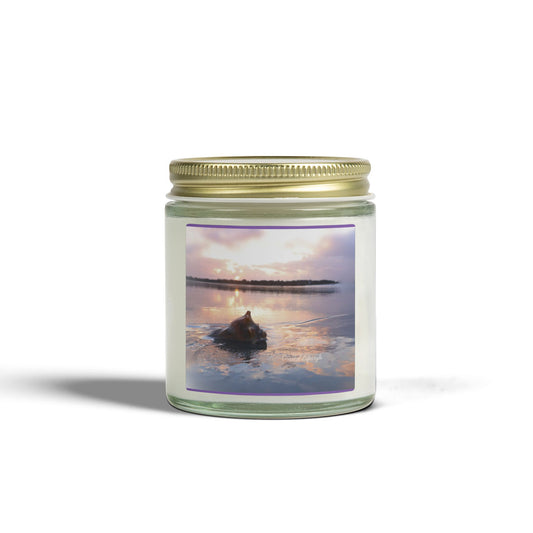 Balance and Harmony  Scented Candle — Coconut Apricot Wax (4oz & 9oz)