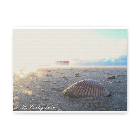 Canvas Wall Art - Coastal Lifestyle Shell Design from Tybee Island Georgia